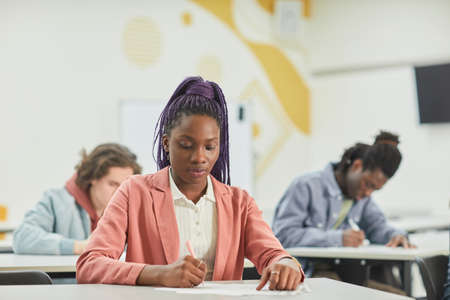 Diverse group of students studying in school class with focus on young African-American woman sitting at desk in front, copy spaceの写真素材