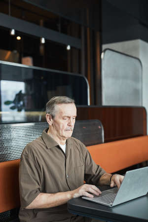 Focused senior Caucasian man with mustache sitting at table in modern cafe and making report on...