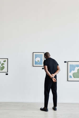 Minimal full length back view at African-American man looking at paintings in modern art gallery, copy spaceの写真素材