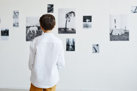 Back view at young boy looking at photos in modern art gallery, copy spaceの写真素材