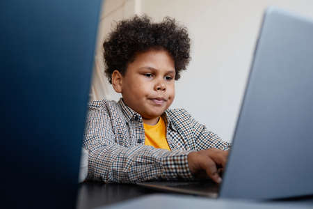 Portrait of African-American schoolboy using laptop computer during IT class in school, copy space