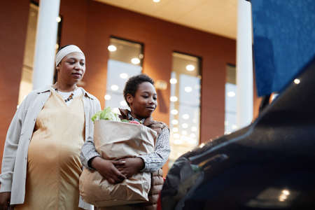 Low angle portrait of teenage African-American boy carrying groceries to car while helping mom...