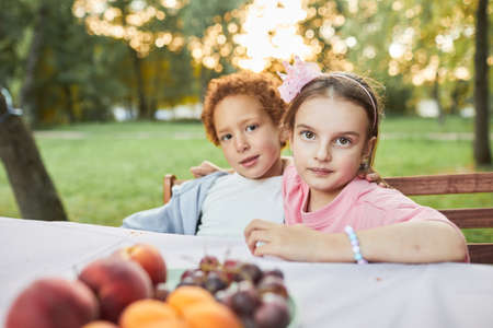 Portrait of boy and girl looking at camera while sitting at picnic table outdoors, copy spaceの写真素材
