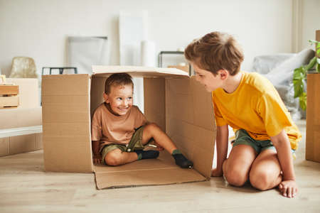 Portrait of two brothers playing with cardboard box while family moving to new house, copy spaceの写真素材