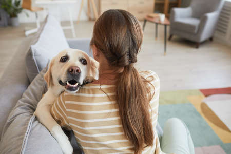 Back view portrait of young woman cuddling with dog while lying on couch at home, copy space
