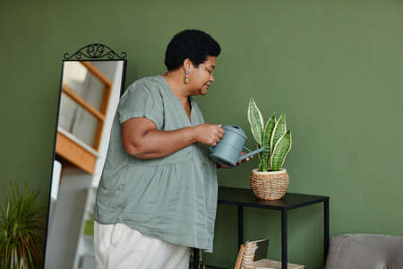 Waist up portrait of black senior woman watering houseplants at home, copy spaceの写真素材