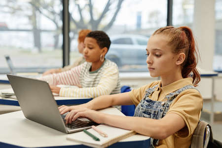 Side view portrait of diverse group of children in row using laptops in coding class, copy spaceの写真素材