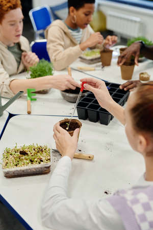 Vertical shot of children planting seeds while experimenting at biology class in schoolの写真素材