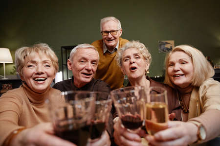 POV of five aged friends looking at camera while holding and clinking wine and champagne glasses...