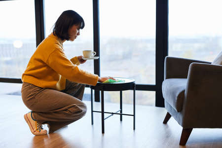 Minimal side view portrait of young Asian woman cleaning modern apartment, copy spaceの写真素材