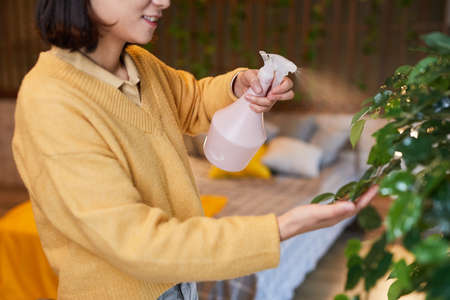 Cropped side view shot of young Asian woman watering plants in cozy home interior, copy spaceの写真素材