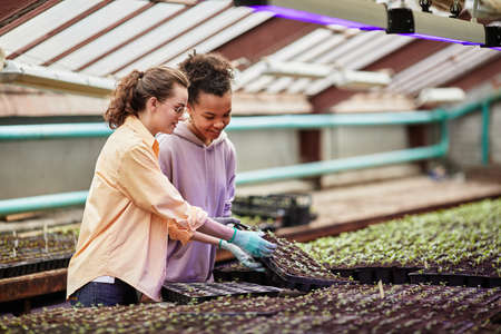 Two young interracial female farmers going to replant seedlings while one of them taking set of...