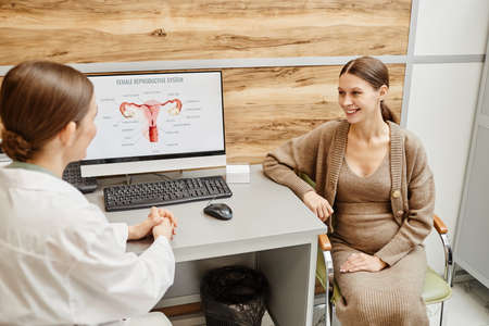 Portrait of young pregnant woman smiling happily during consultation with ob gyn in modern fertility...