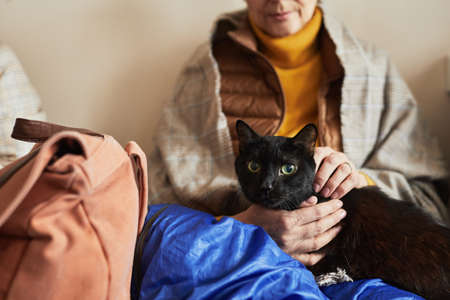 Portrait of anonymous senior woman holding loved pet cat in refugee shelter, copy spaceの写真素材