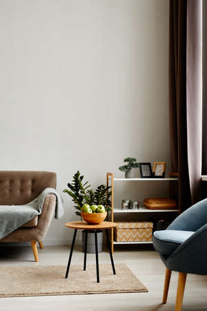 Vertical background image of minimal living room interior with cozy velvet couch and armchair
