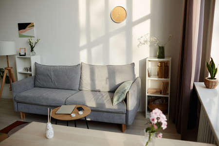 Background image of cozy living room interior with comfy velvet couch and minimal decor lit by...