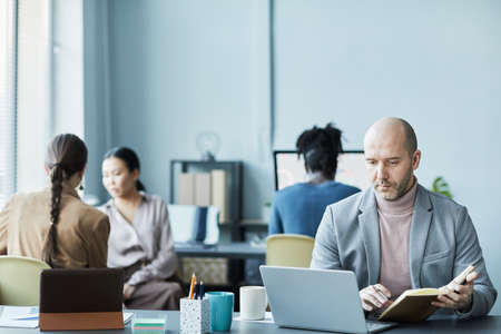 Portrait of balding mature man working with laptop in office setting and looking at screen focused,...