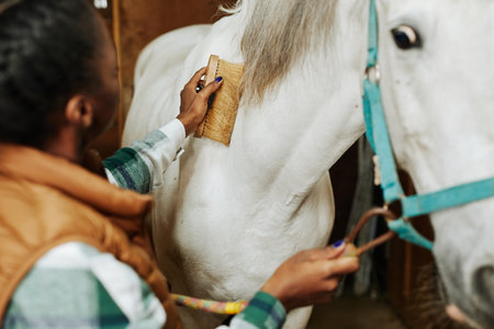 Close up of young woman grooming white horse in stables using soft brushの写真素材