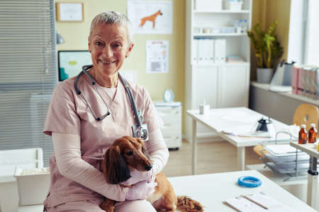 Portrait of smiling senior veterinarian hugging cute dog in vet clinic and looking at camera, copy spaceの写真素材