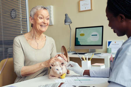 Portrait of smiling senior woman holding cat at vet clinic and consulting with young female veterinarianの写真素材