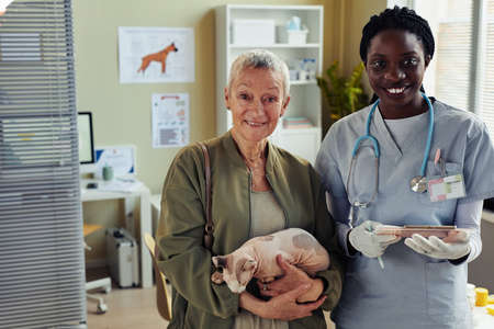 Waist up portrait of young female veterinarian with senior woman holding cat while standing in vet clinic and smiling at cameraの写真素材