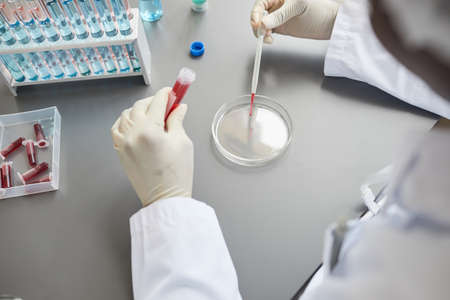 Top view closeup of female technician preparing test sample while working in medical science lab,...