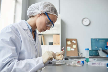 Side view portrait female lab technician doing experiments in medical laboratory, copy spaceの写真素材