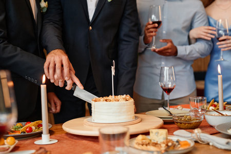 Closeup of gay couple cutting cake together during wedding reception, same sex marriage, copy space