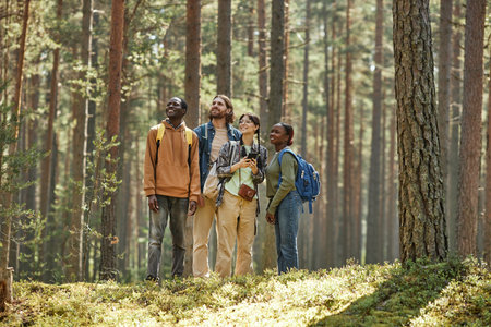 Group of young people enjoying the nature while standing in the forest during hikingの写真素材