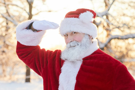 Portrait of traditional Santa Claus looking at camera and smiling outdoors in winter forestの写真素材