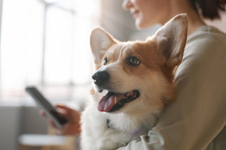 Cute fluffy welsh pembroke corgi dog on hands of young female owner using smartphone while waiting for veterinarian in hall of clinicsの写真素材