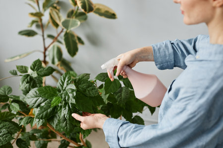 Side view closeup of young woman watering plants indoors and caring for home greenery, copy spaceの写真素材