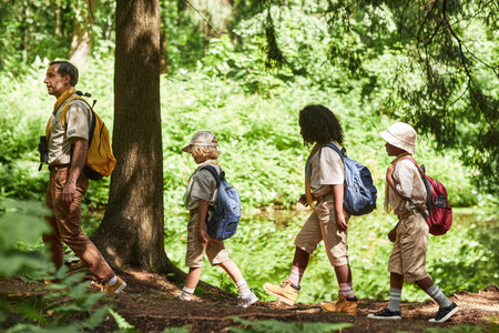 Side view at diverse group of scouts hiking in forest and walking in row lit by sunlightの写真素材