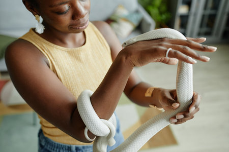 Arms of young black woman cuddling while rat snake in front of camera and looking at her pet during animal assisted therapy at homeの写真素材