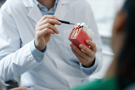 Closeup of unrecognizable dentist holding tooth model while consulting patient on oral care, copy spaceの写真素材