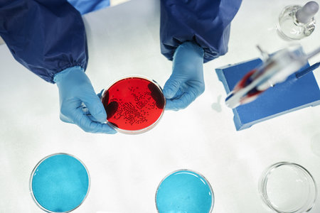 Top view closeup of scientist holding petri dish with red liquid while working with hazardous material in laboratory, copy spaceの写真素材