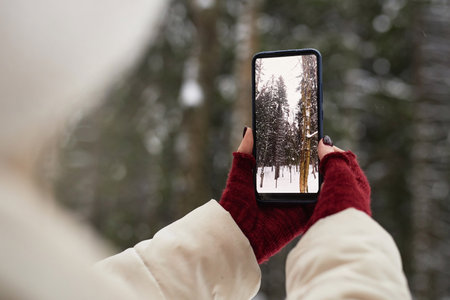 Focus on smartphone with winter forest on screen held by young woman in crimson mittens and white coat while taking photo of pine treesの写真素材