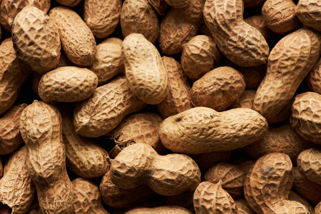 Macro image of roasted shelled peanuts in heap, food background with copy spaceの写真素材