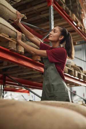 Vertical side view portrait of smiling female worker checking burlap coffee bags on shelf in roasteryの写真素材