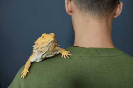 Back view closeup of unrecognizable man with iguana sitting on shoulder, copy spaceの写真素材