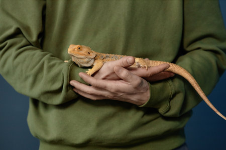 Close up of unrecognizable man holding exotic pet iguana in hand carefullyの写真素材