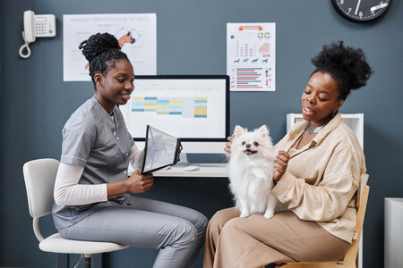 Side view shot of smiling female African American dog owner consulting with veterinarian holding cone for pet. Curly Black woman with pomeranian puppy on hands in vet clinic against blue wallの写真素材