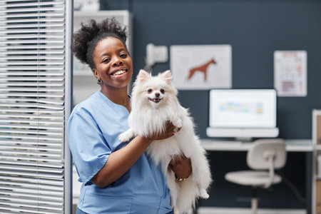 Medium shot portrait of trustworthy female vet expert of Black ethnicity smiling looking at camera holding happy white pomeranian dog after vaccination in vet clinic, copy spaceの写真素材