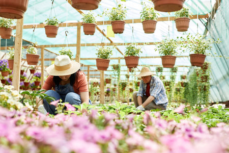 Two people gardening in greenhouse full of plants, wearing straw hats and focused on nurturing...
