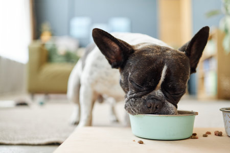 Dog eating from bowl on floor, head lowered with eyes closed, indoor home setting visible in background, focus on dogs face and food bowl, close up perspective
