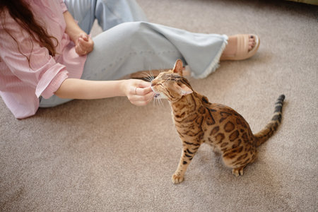 Young adult Caucasian woman sitting on carpet feeding Bengal cat, hand extended toward cats mouth,...