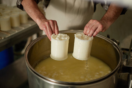 Middle aged Caucasian man shaping fresh cheese curds with both hands using plastic molds over large...