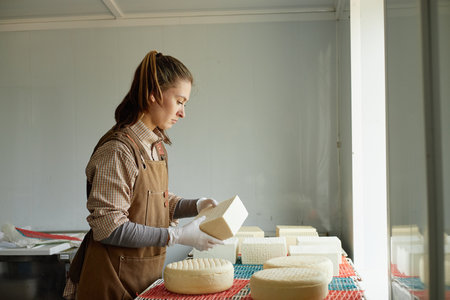 Young adult Caucasian woman inspecting round and rectangular cheese blocks on table, wearing apron and gloves, standing in cheese production facility, focused on quality controlの写真素材