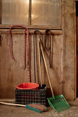 Stable equipment including plastic crate with red bucket, broom, green manure fork, wooden sticks, and hanging ropes arranged against rustic wooden wall in barn settingの写真素材