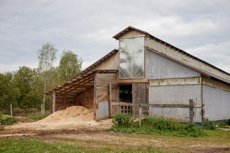 Rural barn standing on grassy farm surrounded by trees, large pile of sawdust spilling from open...